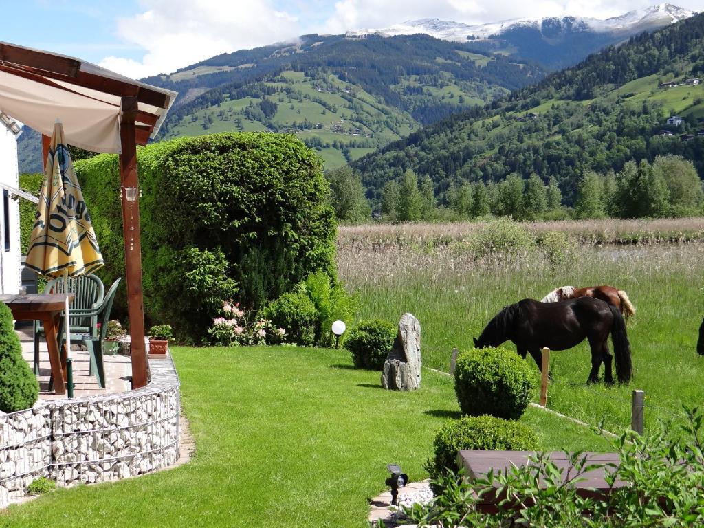 Appartement Plattner Zell am See Eksteriør bilde